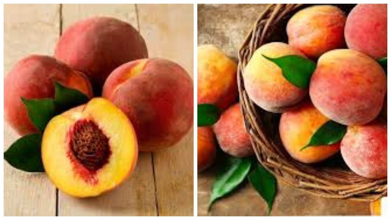 Manfaat Buah Persik atau Peach bagi Kesehatan !