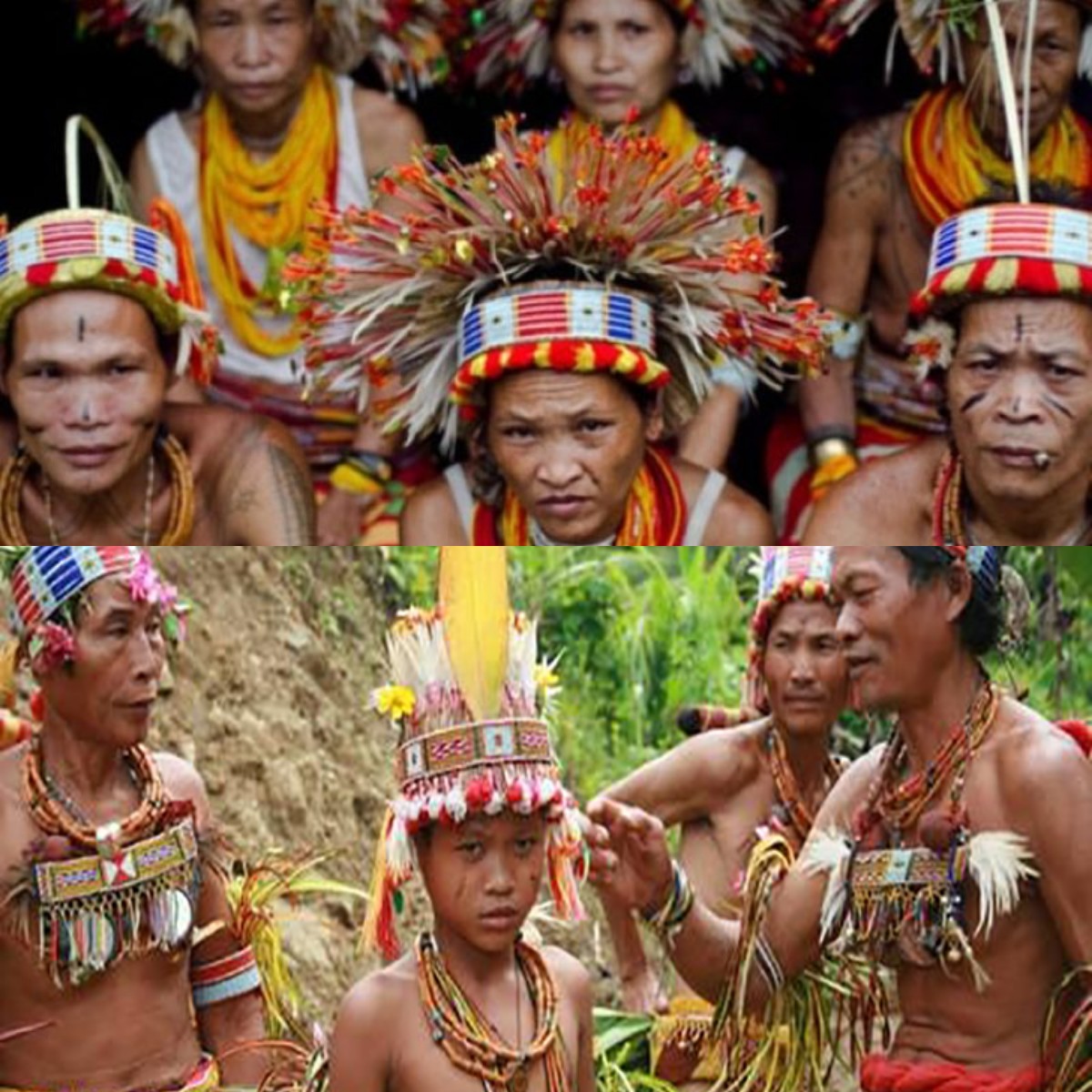 Suku Riau Laut Hampir Punah! Apakah Kita Bisa Menyelamatkan Kebudayaan Mereka?