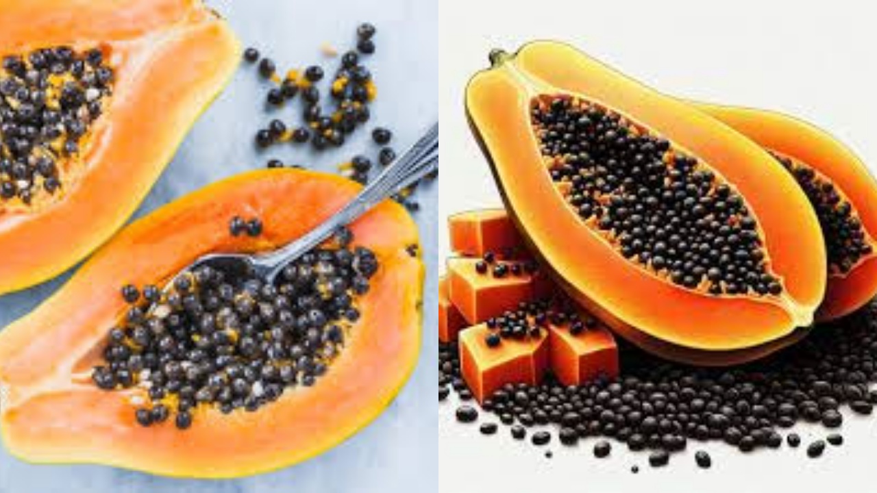 Mengatasi Parasit Usus Teryata Ini Guys Manfaat Dari Biji Pepaya Untuk Kesehatan!