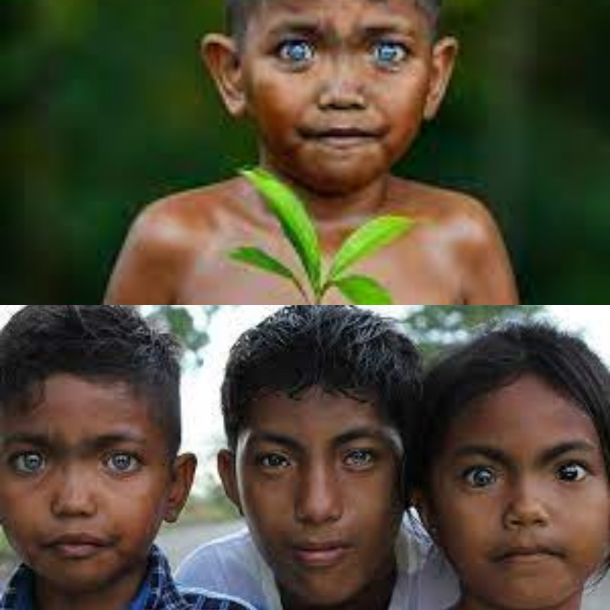 Fakta Menarik! Inilah 3 Suku di Indonesia dengan Keunikan Mata Birunya Mirip Orang Eropa 