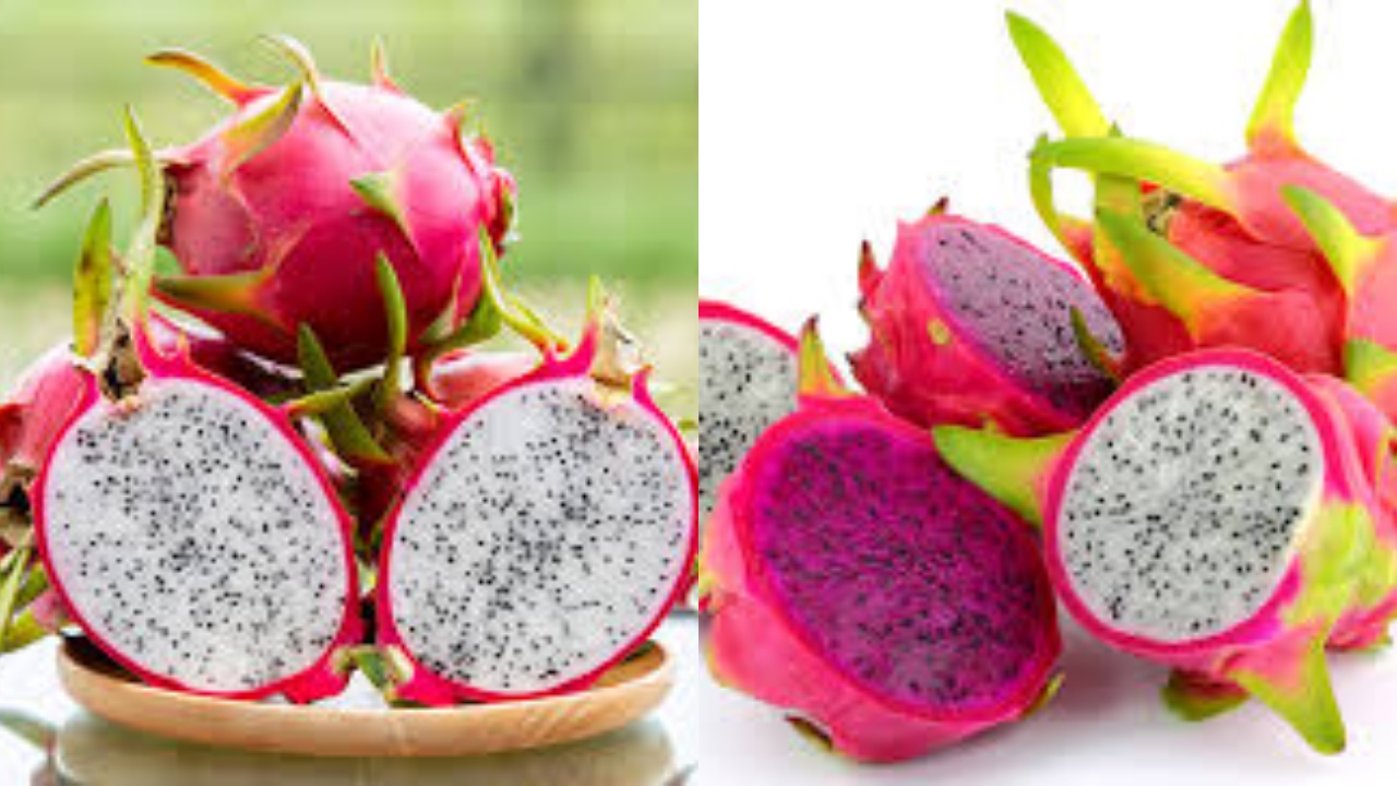 Inilah Manfaat Buah Naga Putih Bagi Kesehatan Tubuh Yang Luar Biasa!