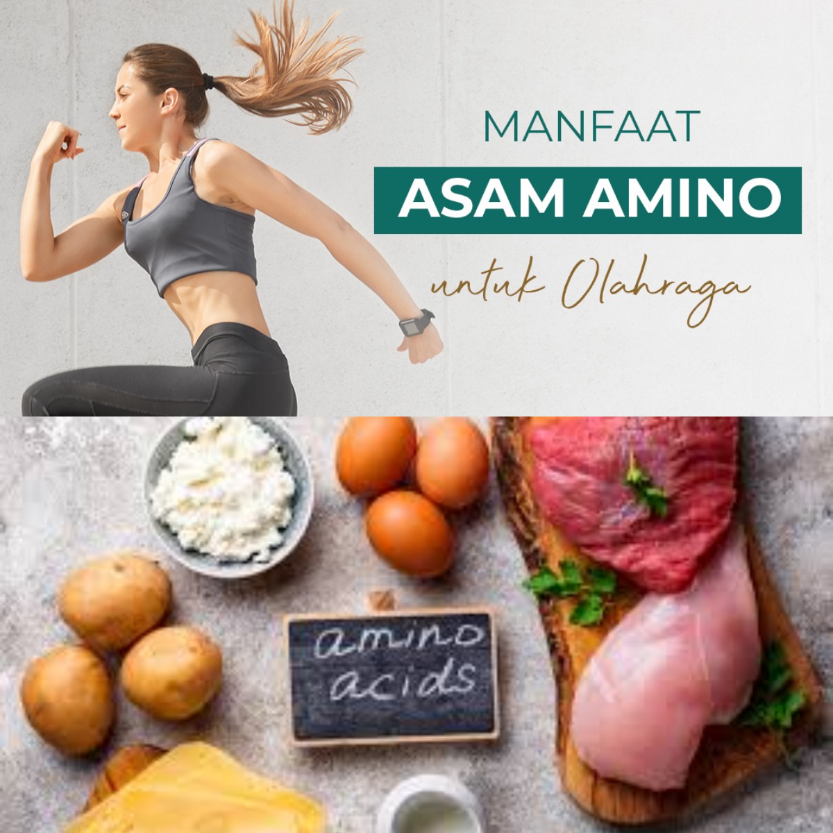 Penasaran dengan Asam Amino? Yuk, Temukan 5 Manfaatnya yang Mengejutkan!