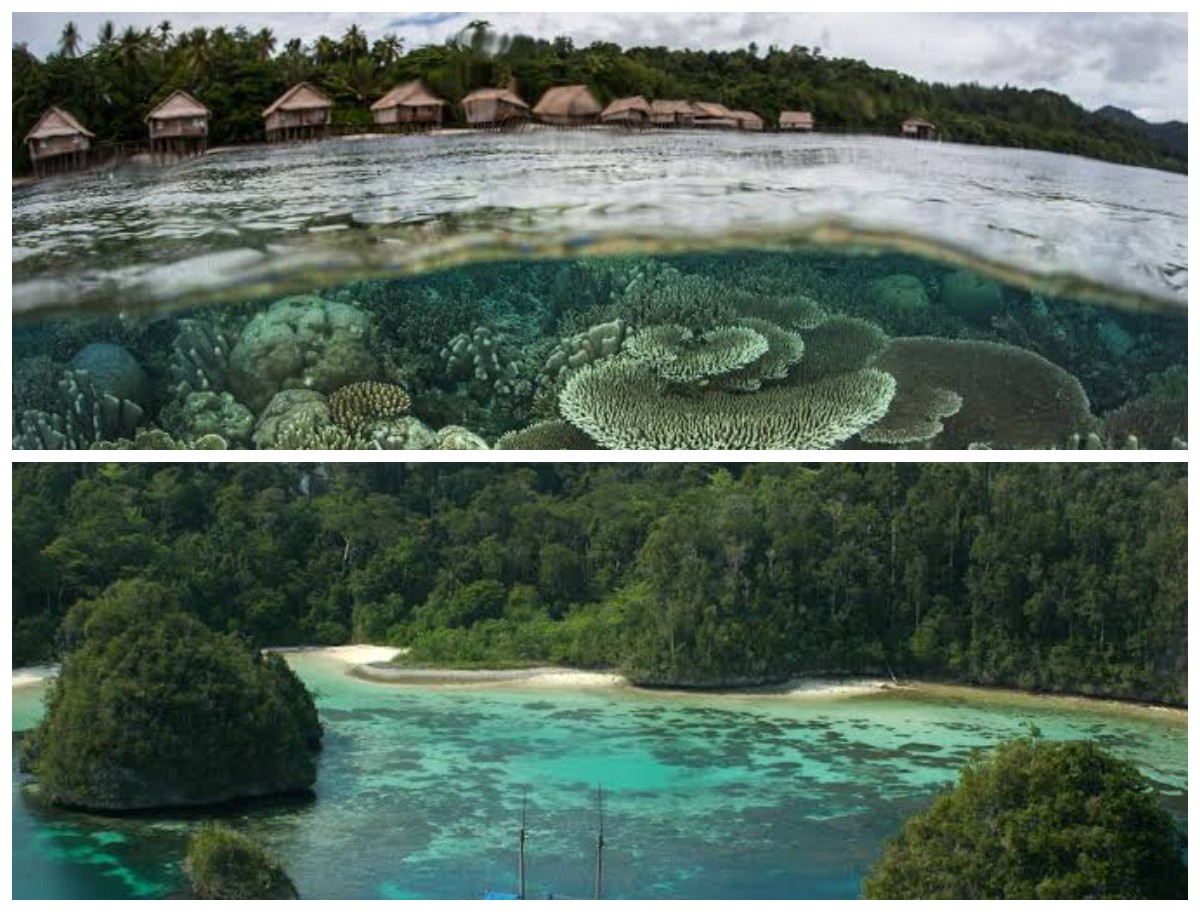 Raja Ampat Mempesona, Wisata Pulau Waigeo Salah Satu Tempat dengan View Alam Memukau