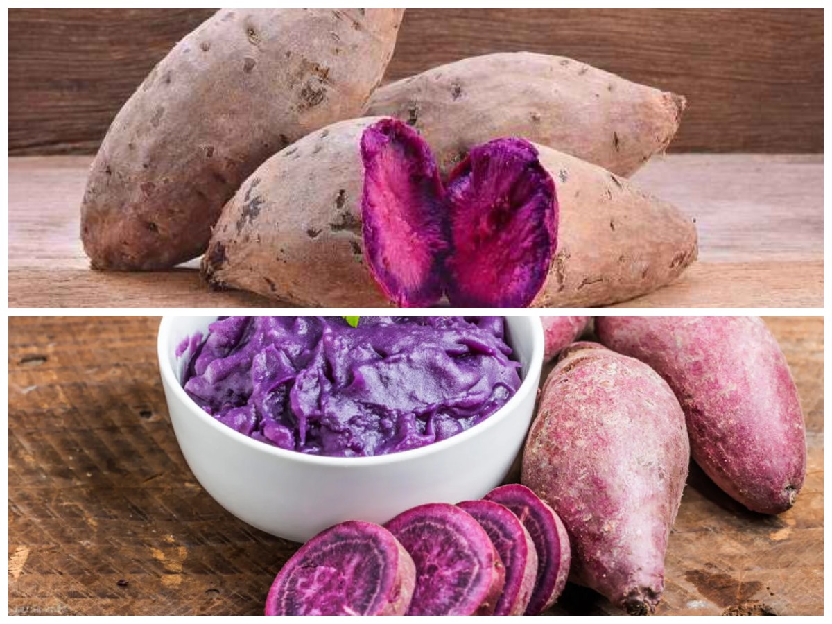 Rahasia Sehat dari Alam: 8 Khasiat Ubi Ungu dan Olahan Praktisnya