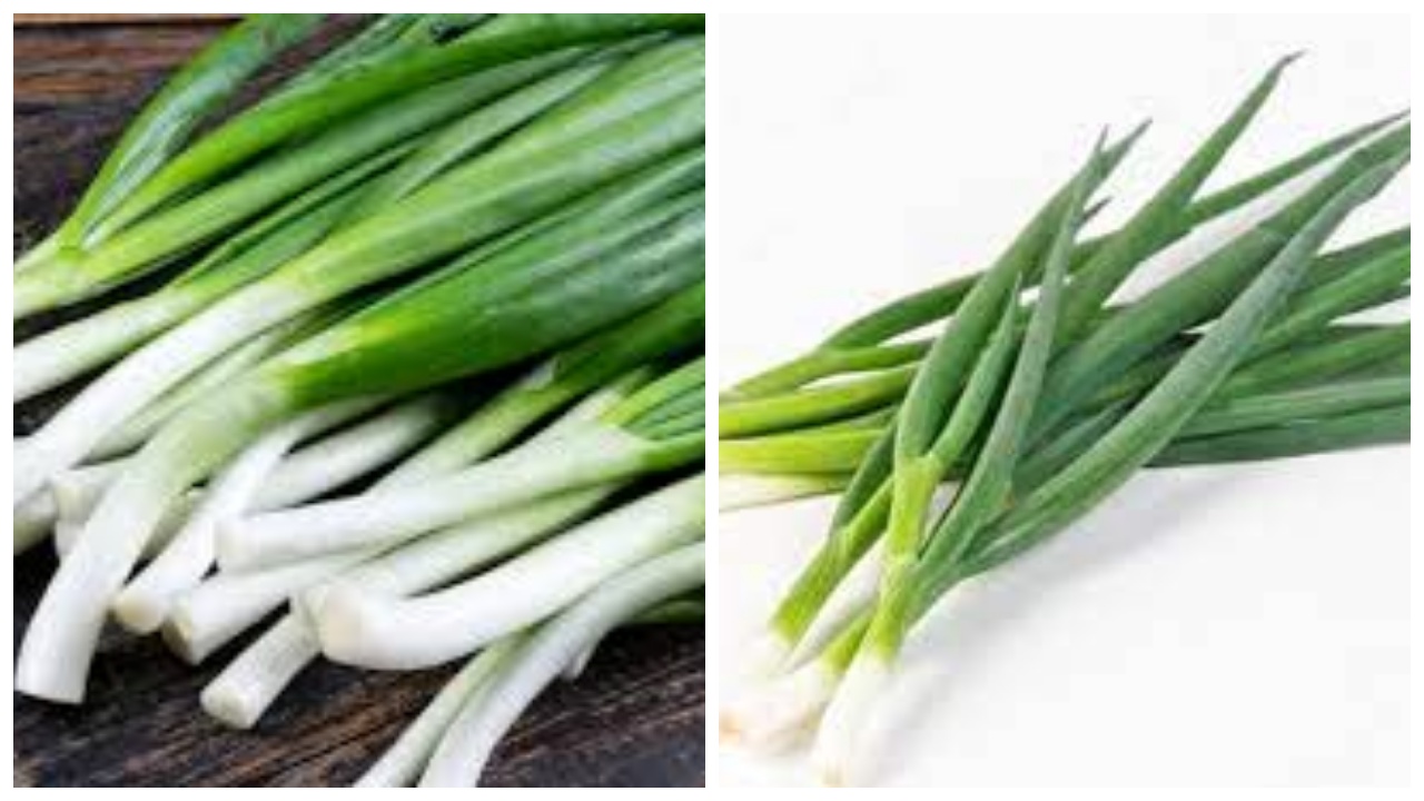 Simak: Inilah 5 Manfaat Daun Bawang untuk Kesehatan, Bukan Sekadar Taburan di Makanan