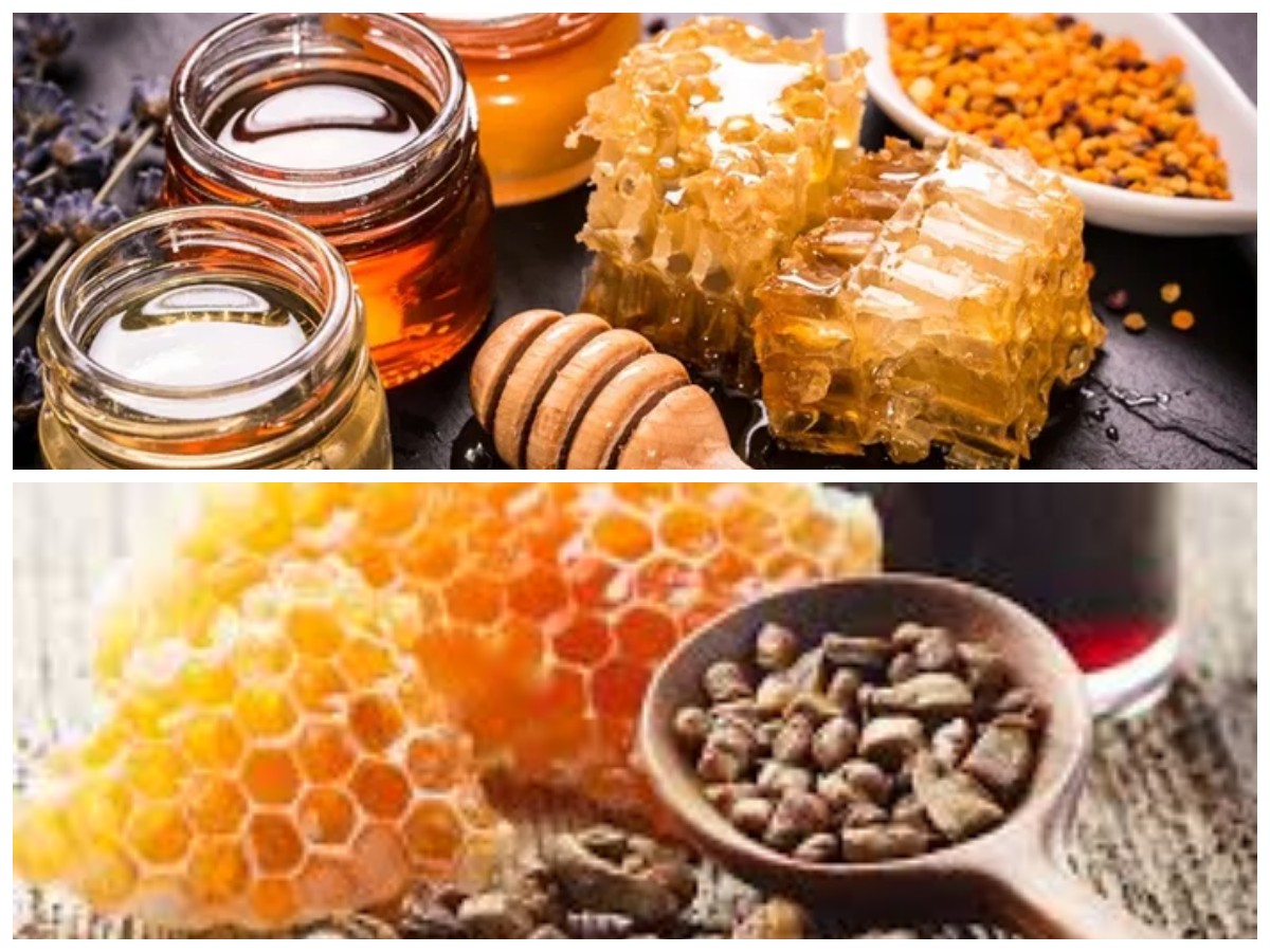 Rahasia Propolis: Nutrisi Alami untuk Kekebalan Tubuh dan Kesehatan Optimal