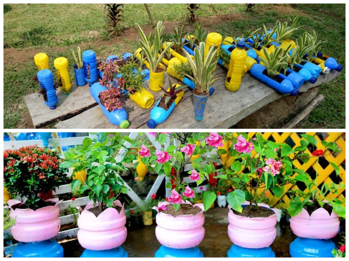 Kreasi Pot Bunga dari Botol Bekas, Cara Sederhana Percantik Taman Rumah