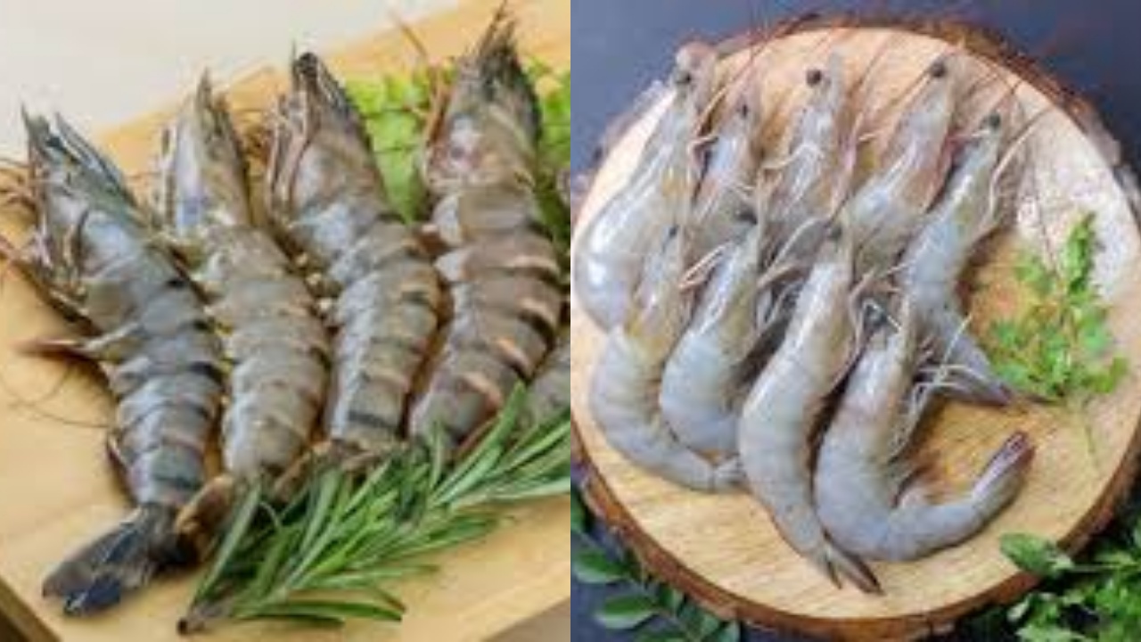 Yuk Kenali! Inilah 8 Manfaat Udang Untuk Kesehatan Yang Luar Biasa