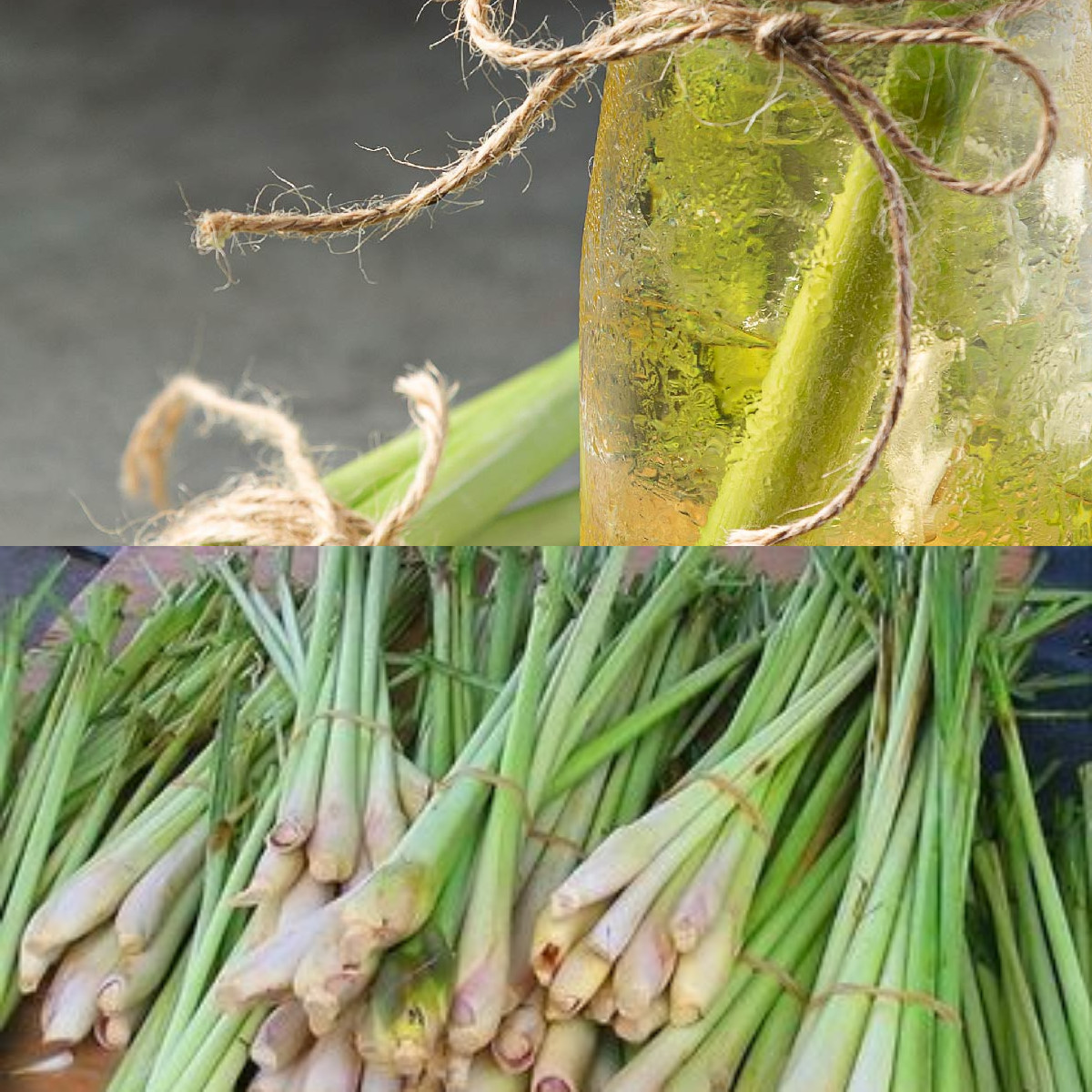  Manfaat Sereh untuk Kesehatan yang Wajib Kita Ketahui!