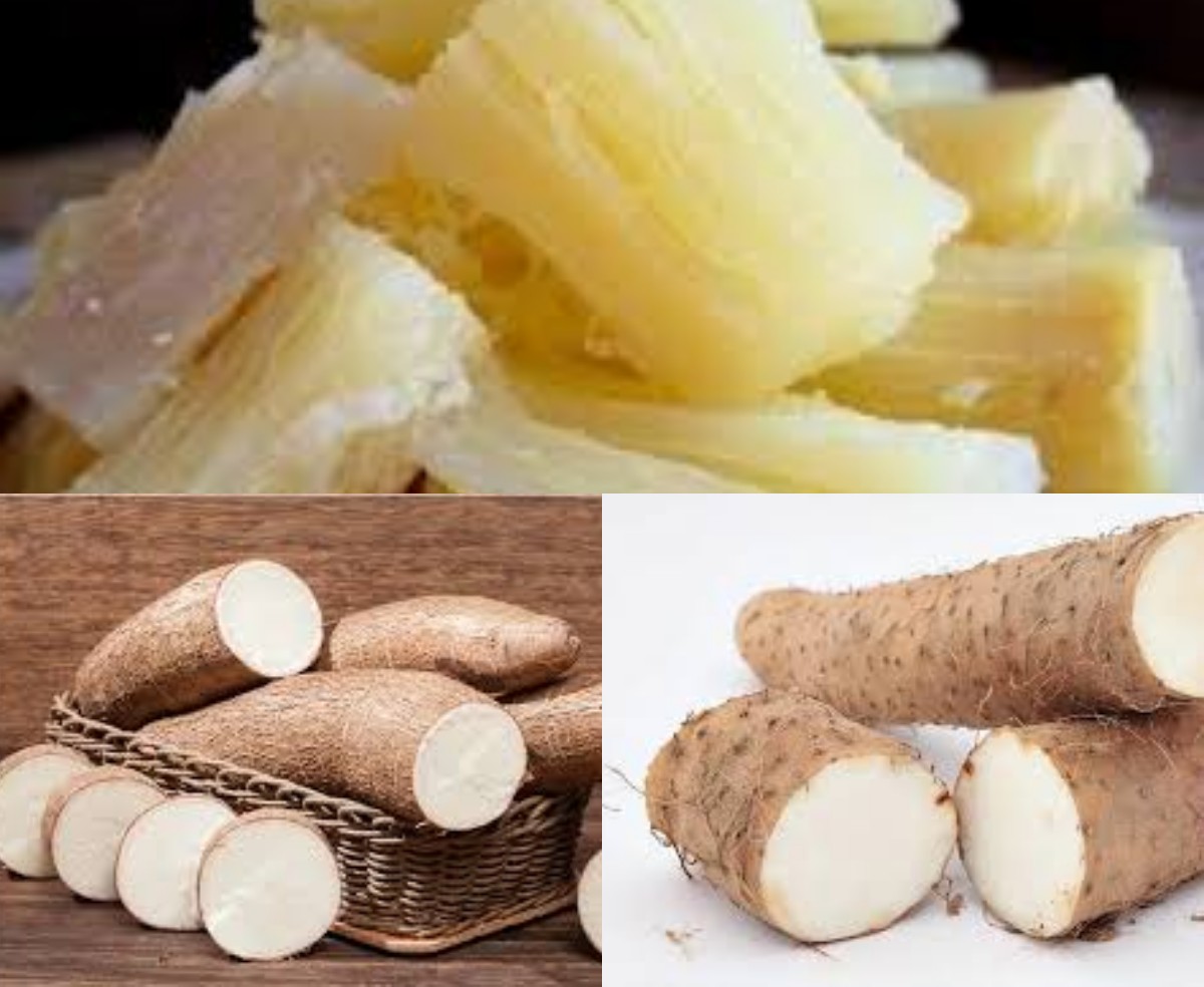 Tingkatkan Sistem Kekebalan Tubuh, Ini Manfaat Singkong yang Harus Diketahui