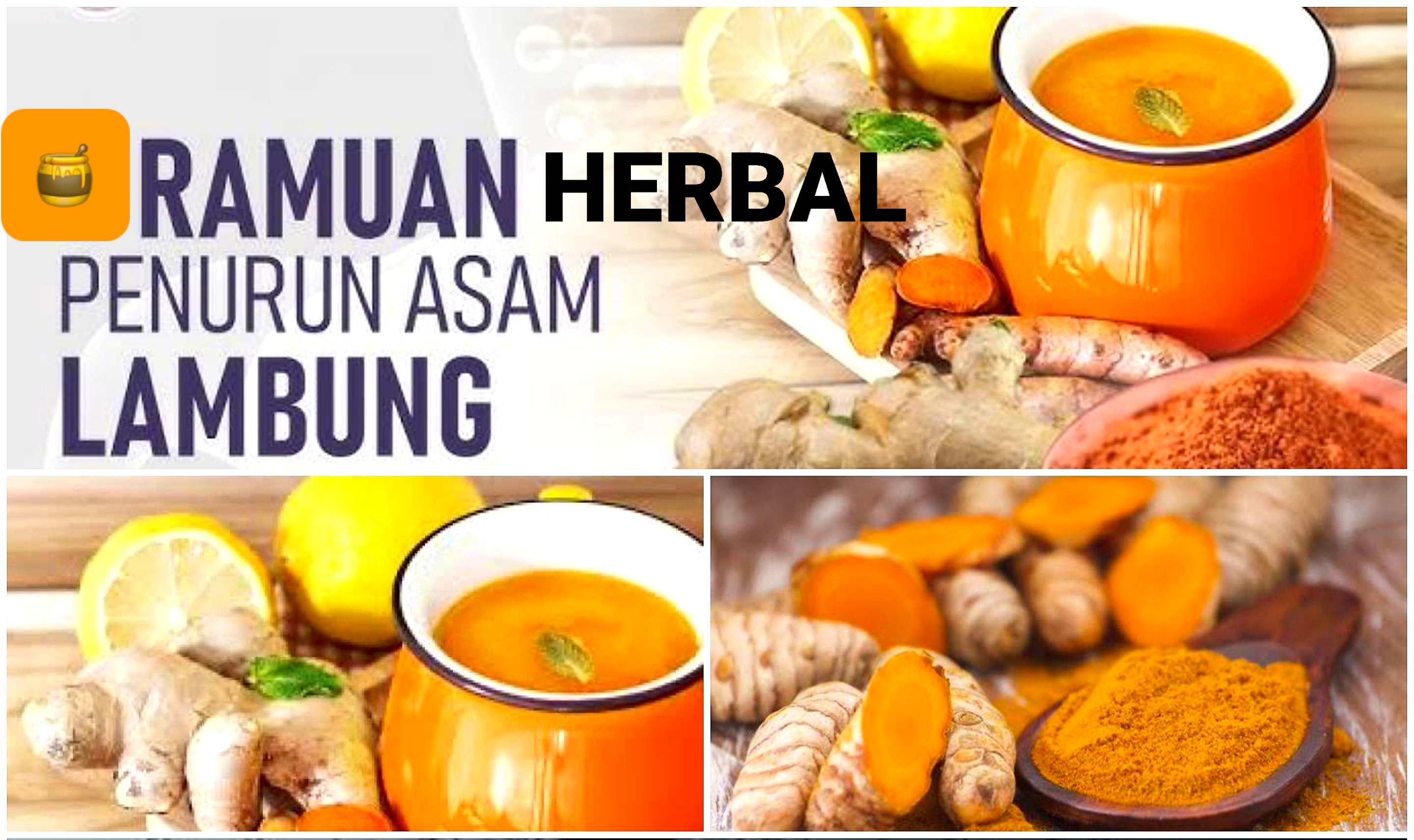 7 Obat Herbal Ampuh Redahkan Asam Lambung Tinggi dan Gerd