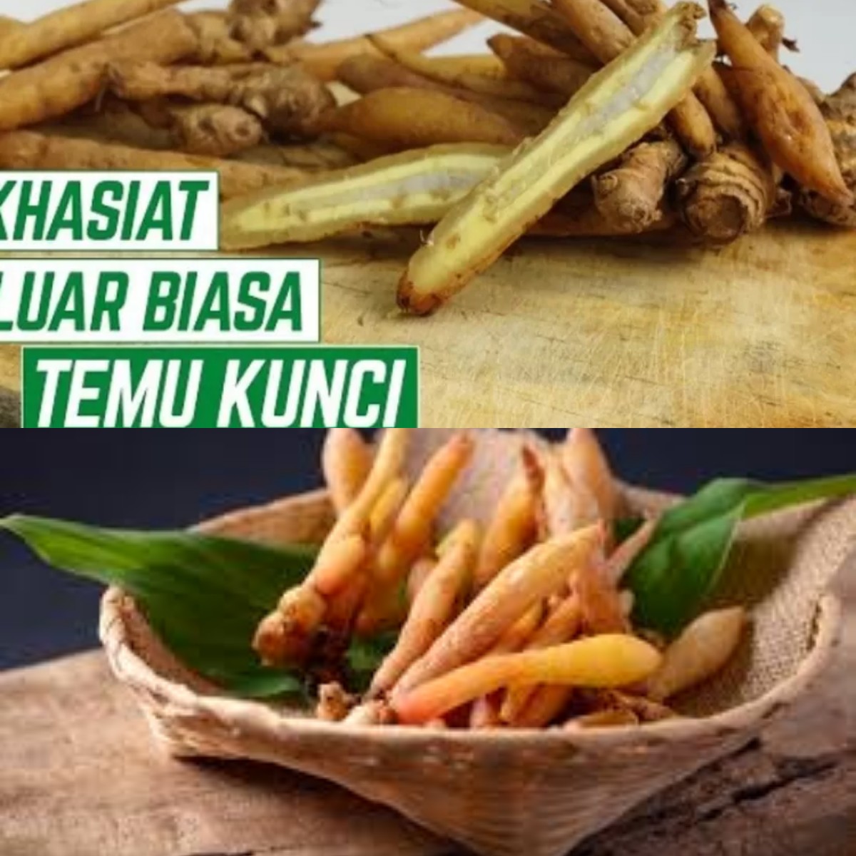 Temu Kunci: Rahasia Kesehatan yang Belum Banyak Diketahui? Yuk, Temukan Manfaatnya!