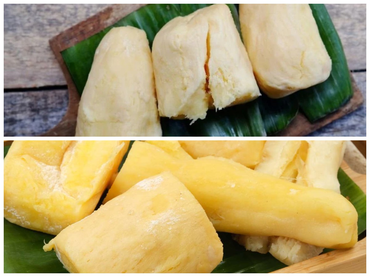 Mengenal Khasiat Tape Singkong: 7 Manfaatnya untuk Tubuh Lebih Sehat