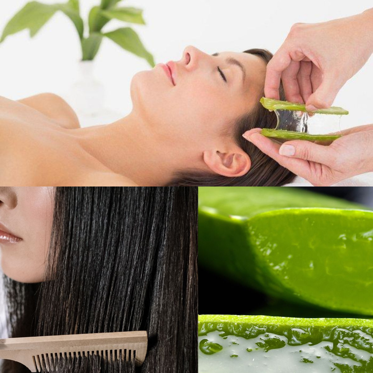  Yang Harus Diketahui 10 Manfaat untuk Rambut Sehat!