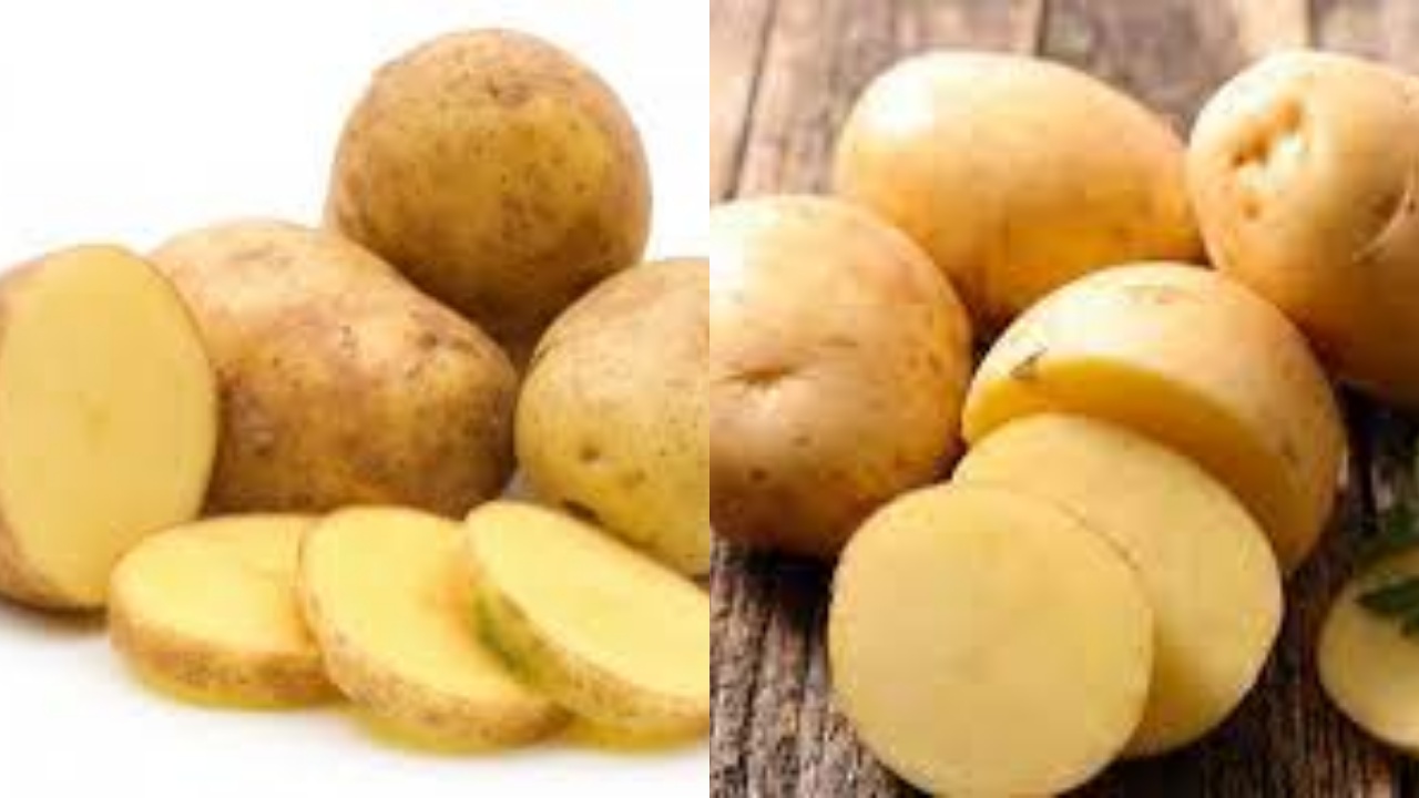 Tak Hanya Meningkatkan Fungsi Otak, Ini Dia 10 Manfaat Kentang Untuk Kesehatan Tubuh!
