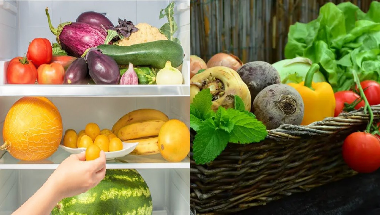 Cara Menyimpan Sayur dan Buah Agar Awet dan Tahan Lama