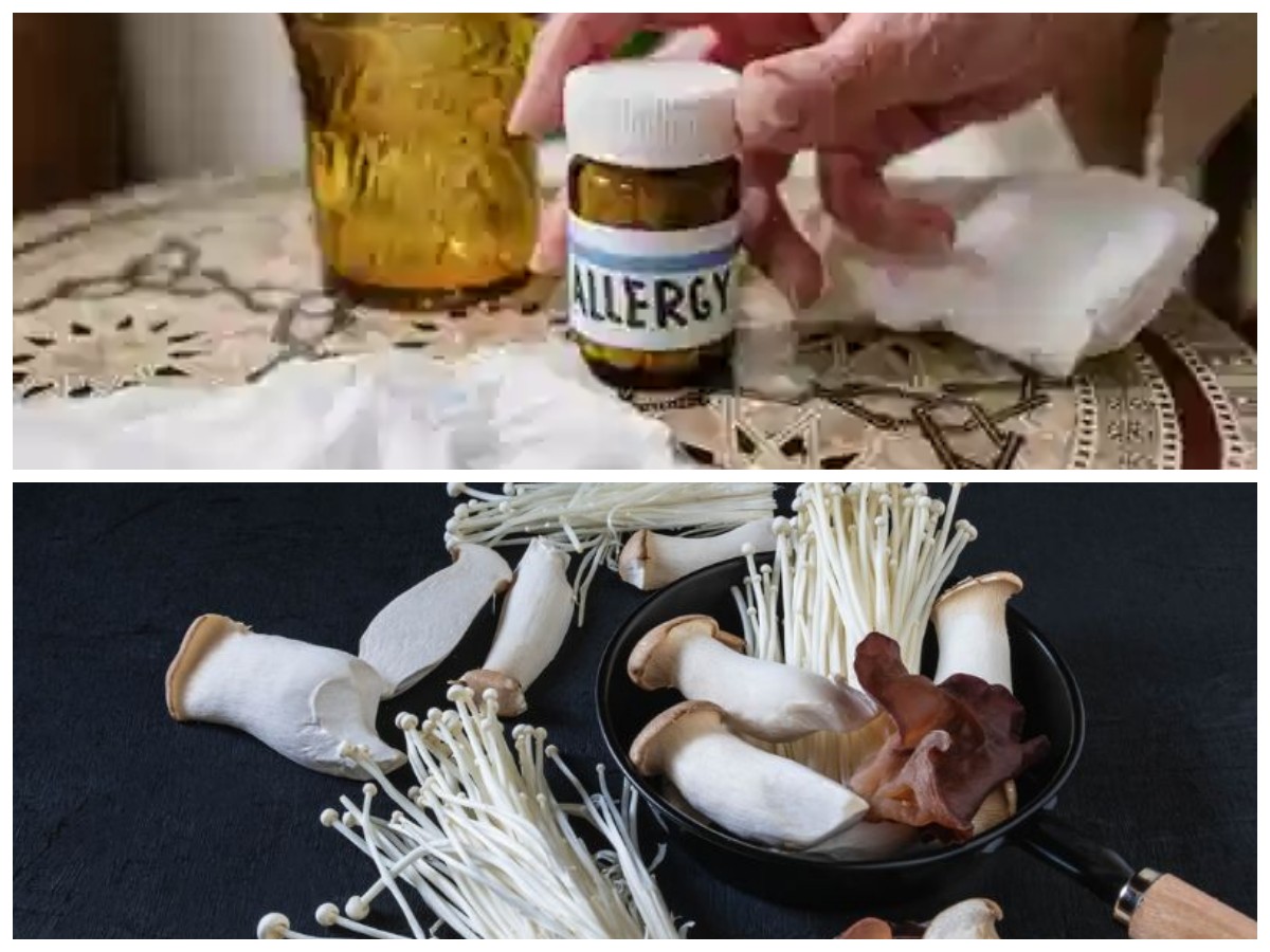 Jangan Anggap Sepele! Inilah Ciri-Ciri Alergi Jamur dan Solusi Penanganannya