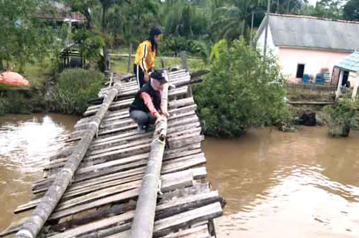 Beratnya Perjuangan Petugas Pantarlih Banyuasin, Harus Merangkak di Lantai Jembatan