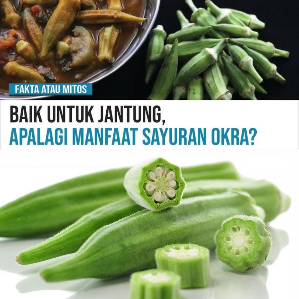 Penasaran? 5 Manfaat Sayur Okra yang Bisa Meningkatkan Kesehatan Tubuhmu!