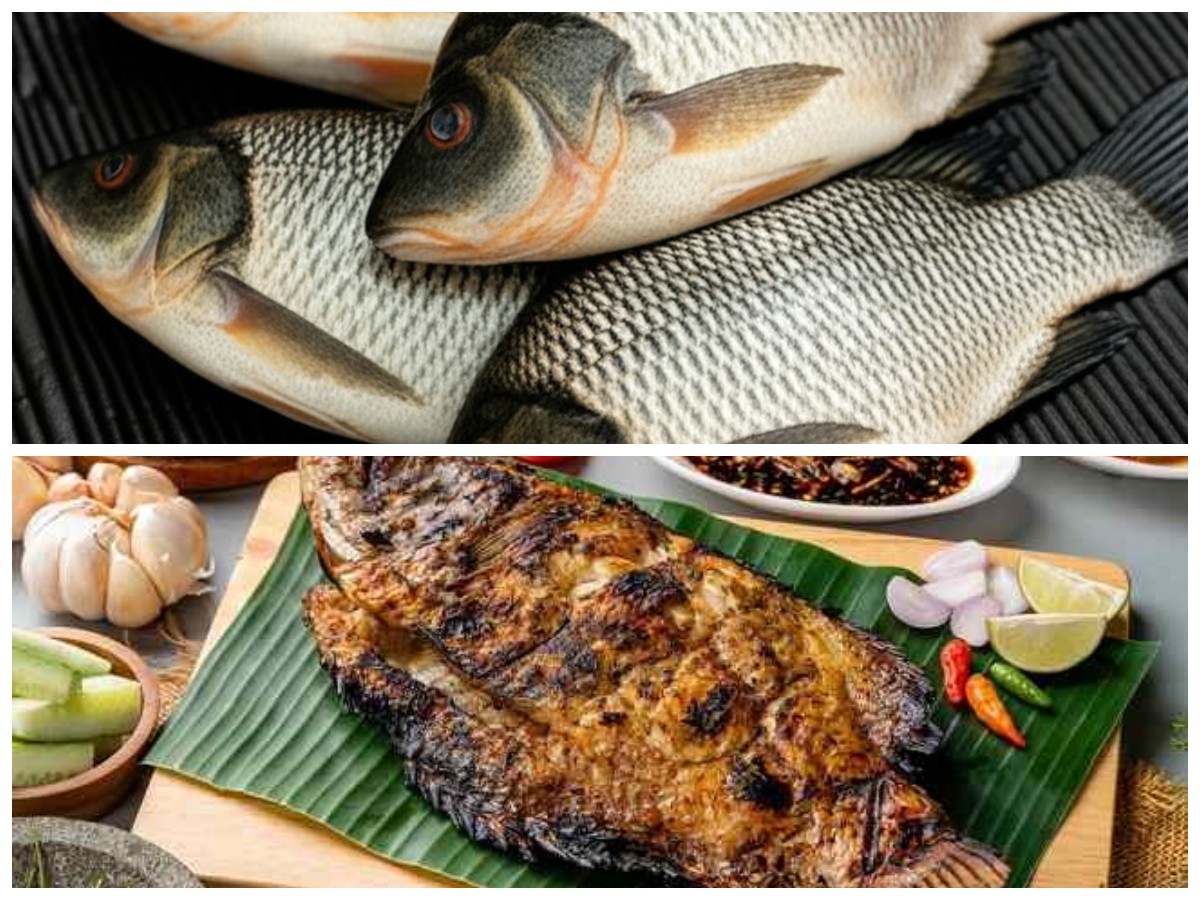 Rahasia Kesehatan dari Ikan Gurame: Kaya Nutrisi, Baik untuk Jantung dan Tulang!