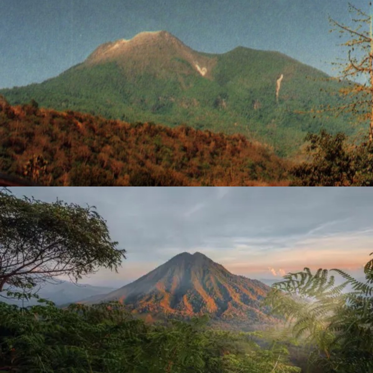 Rahasia di Balik Nama Gunung Mangtajung dan Kisah Mistisnya