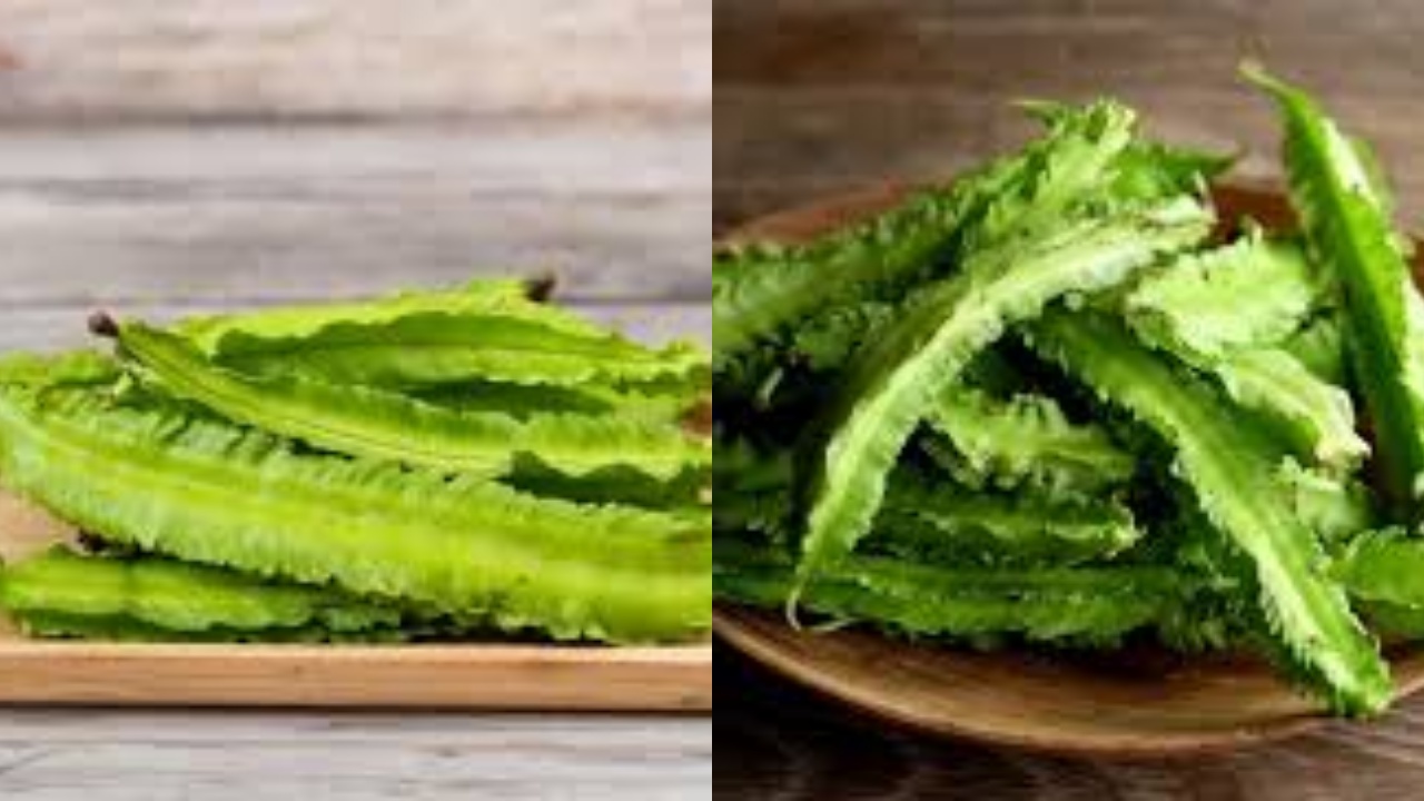 Inilah 8 Manfaat Kecipir Untuk Kesehatan Yang Jarang Diketahui!