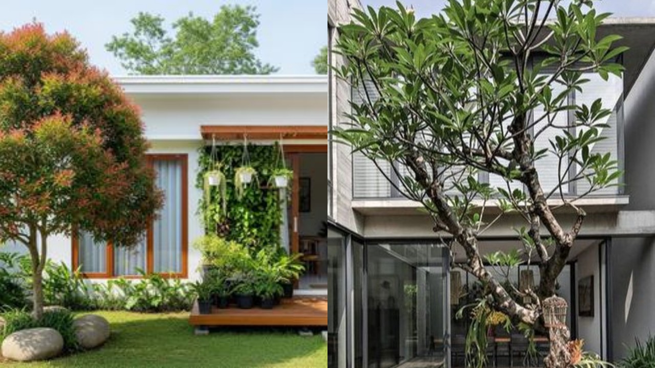 Inspirasi Rumah Lahan Terbatas dengan Teras Mini dan Pohon Rindang!
