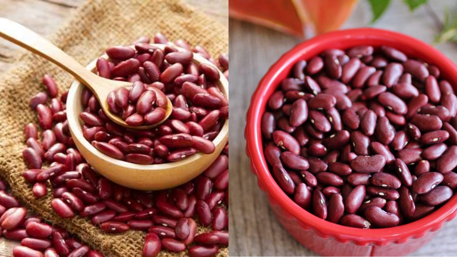 Wajib Tahu Inilah Manfaat Kacang Merah Bagi Kesehatan Tubuh! 