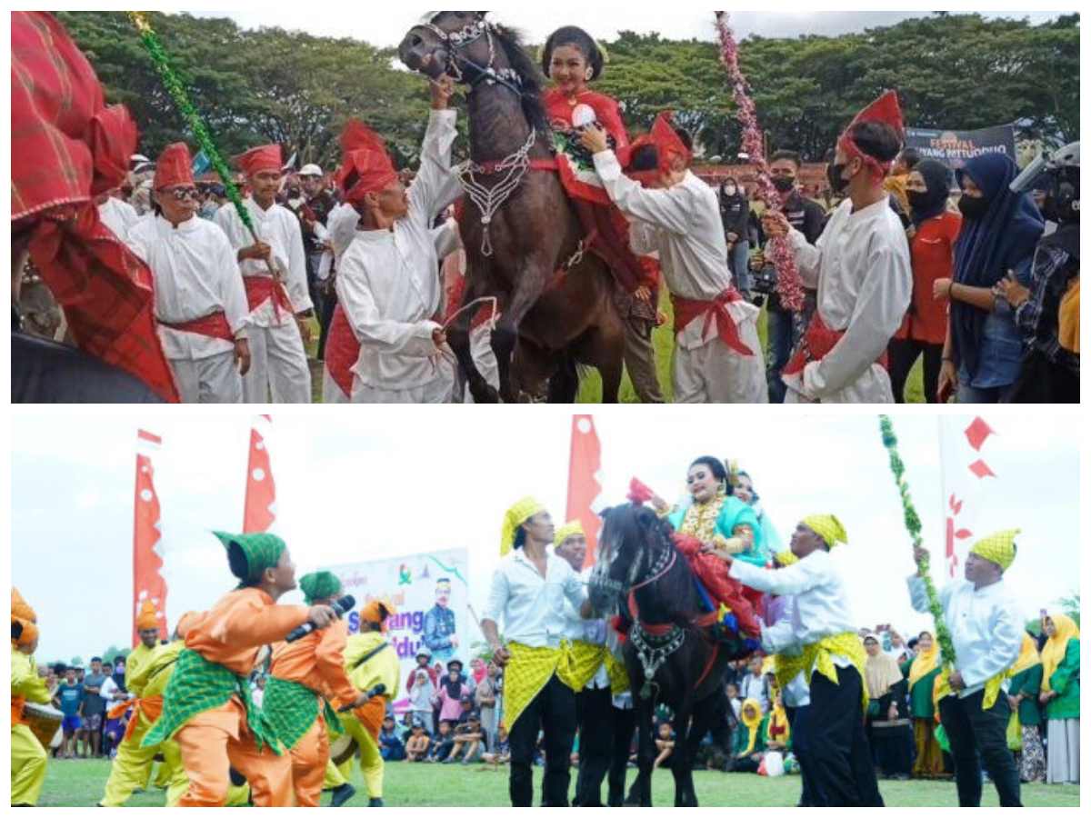 Sensasi Menonton Kuda Menari: Atraksi Memukau di Tengah Lapangan