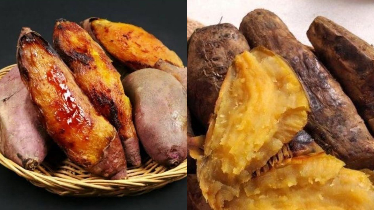 Inilah Manfaat dari Ubi Cilembu, Mulai dari Atasi Sembelit hingga Cegah Kanker!