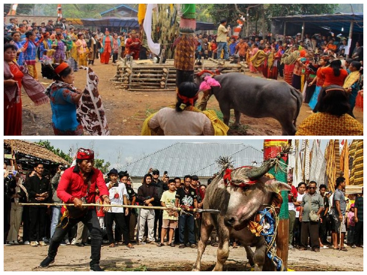 Ritual Tiwah: Tradisi Sakral Masyarakat Dayak Ngaju dalam Mengantar Arwah ke Alam Abadi!