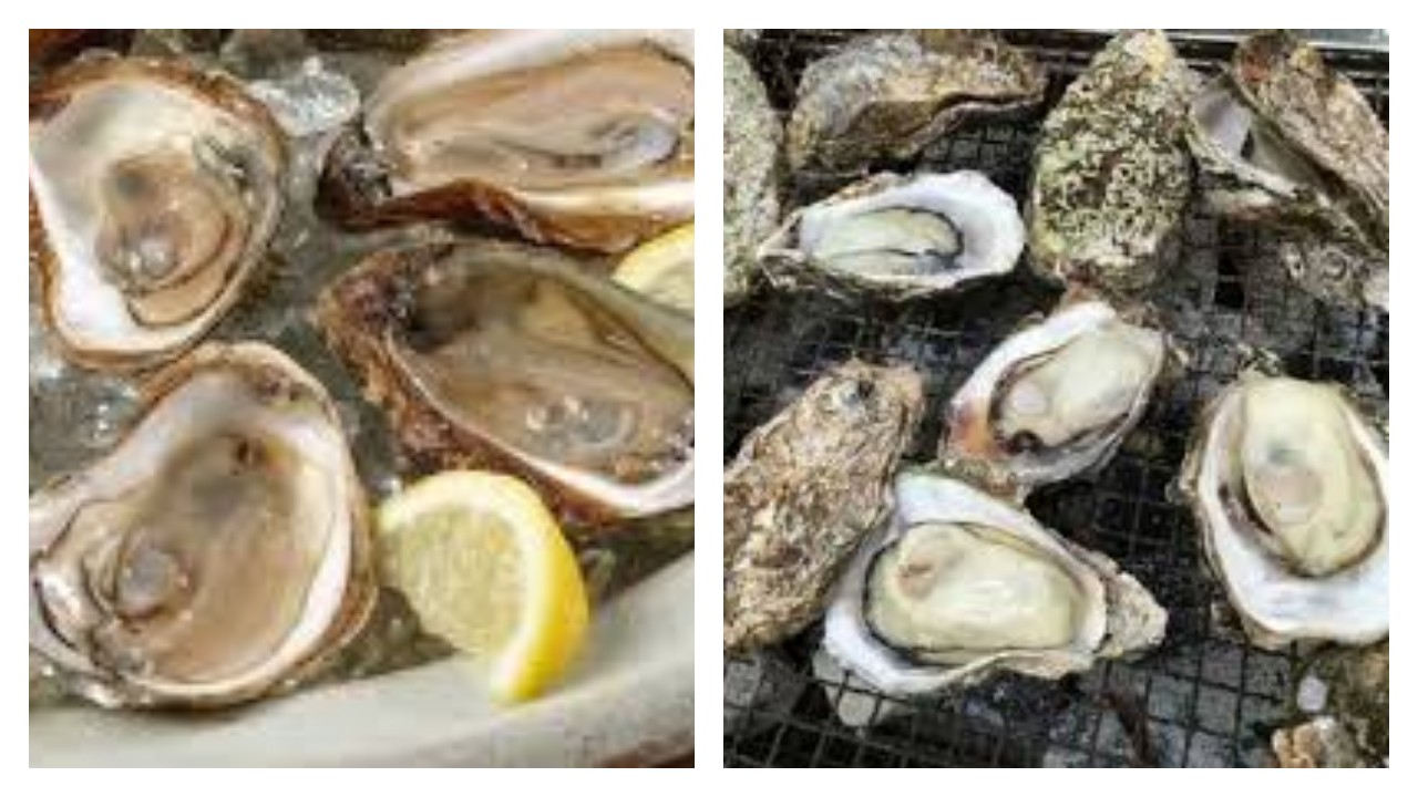 5 Kegunaan Tiram untuk Kesehatan dan Cara Aman Mengolahnya