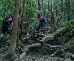 Kisah Mistis Gunung Gede Pangrango, Misteri 4 Mitos yang Menggetarkan!