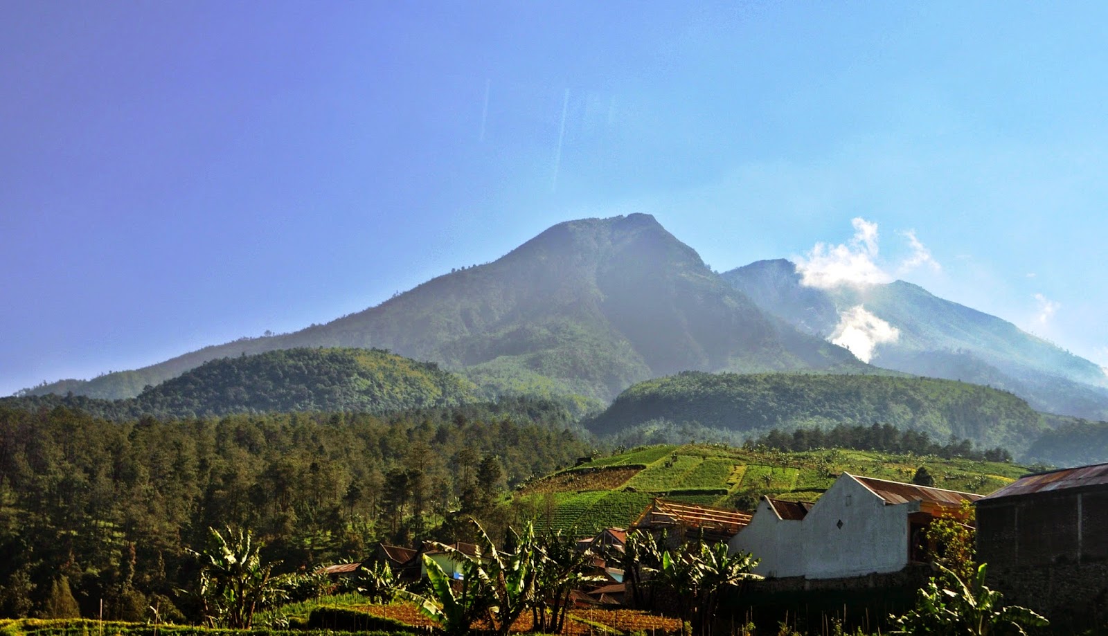 Sumpah Prabu Brawijaya di Puncak Gunung Lawu, Pesan Untuk Adipati Cepu dan Keturunannya