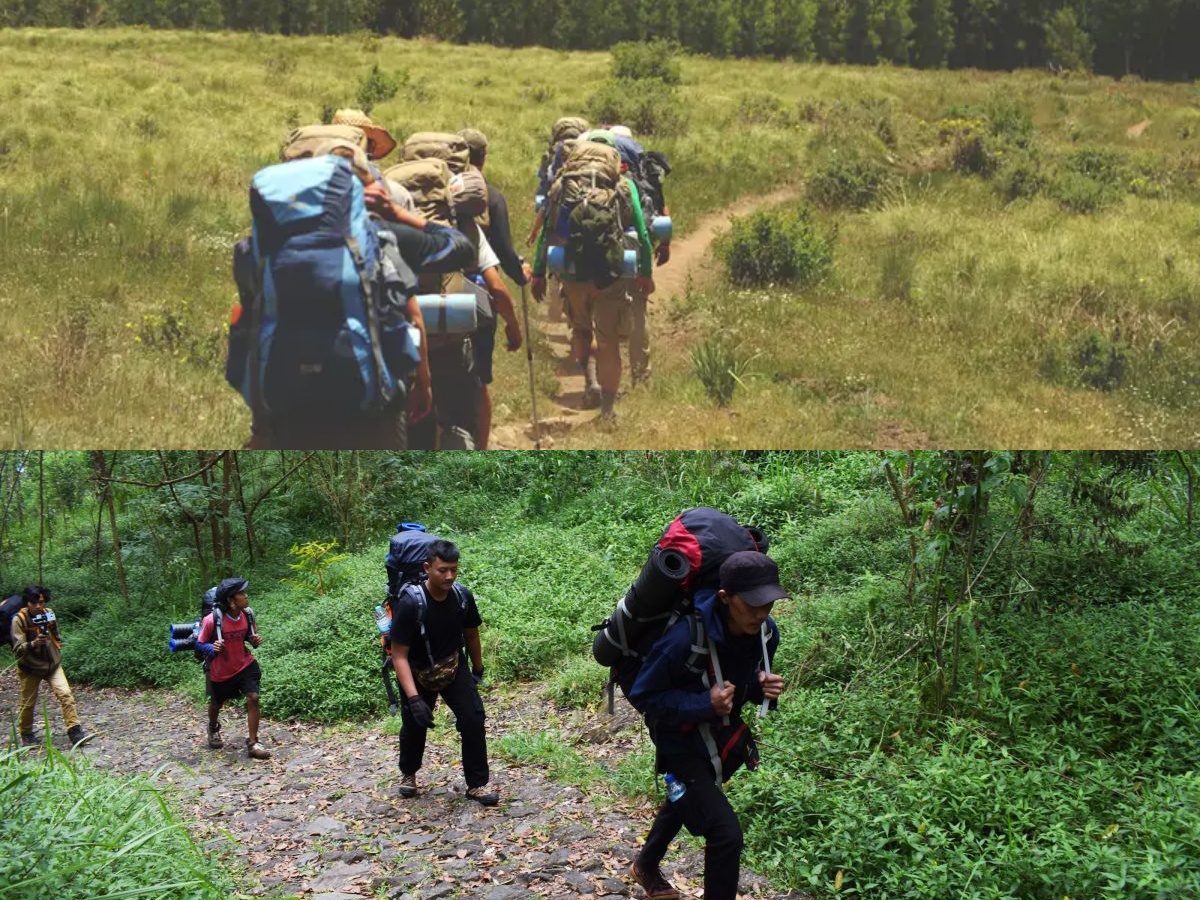 Banyak yang Belum Tahu, Inilah Deretan Manfaat Mendaki Gunung, Salah Satunya Baik Untuk Kesehatan Otak