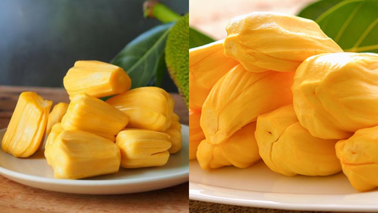 Manfaat dan Khasiat Buah Nangka untuk Ibu Hamil yang Jarang Diketahui!