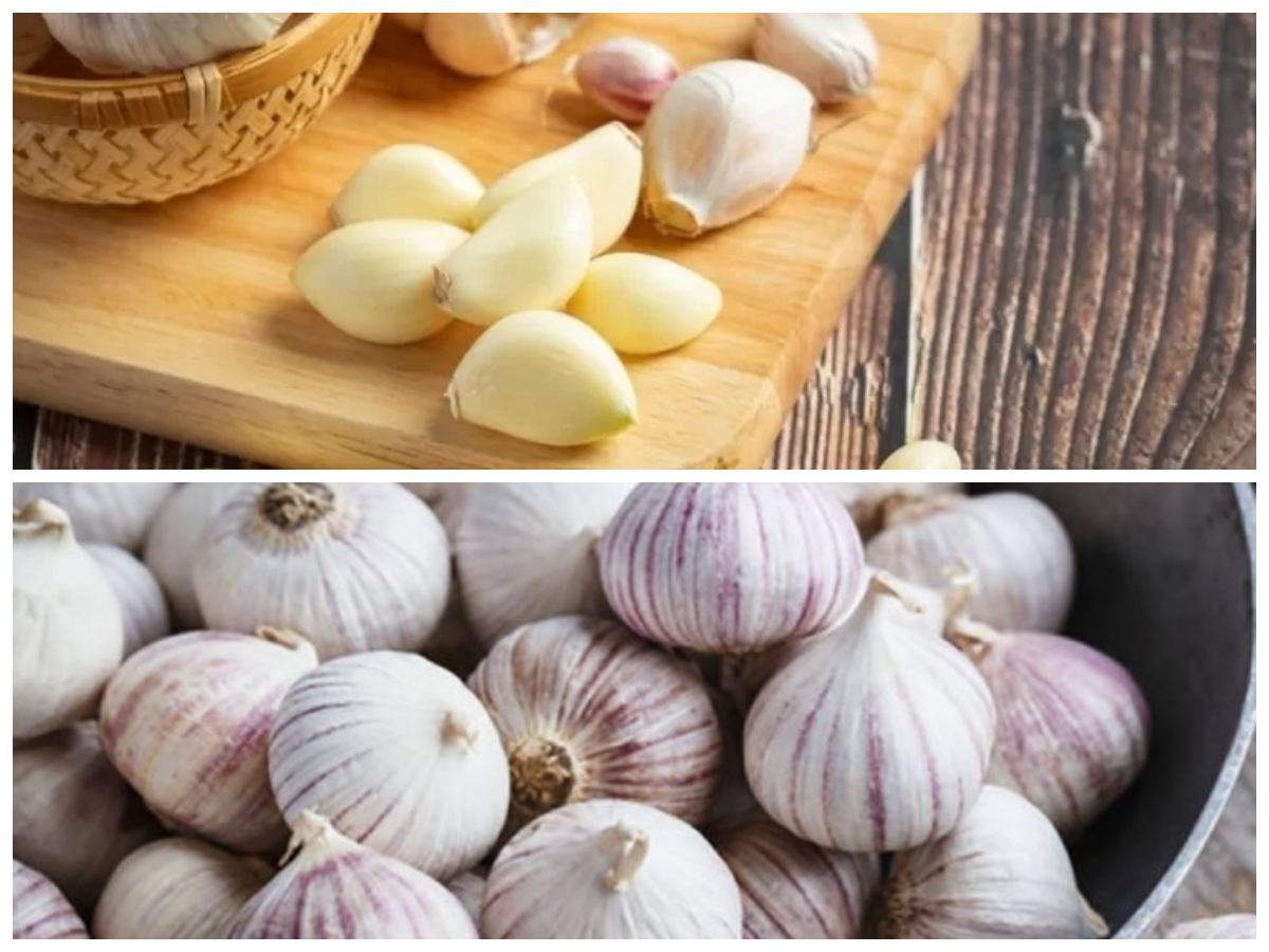 Jangan Sepelekan! Ini Khasiat Luar Biasa Bawang untuk Menunjang Kesehatan Anda