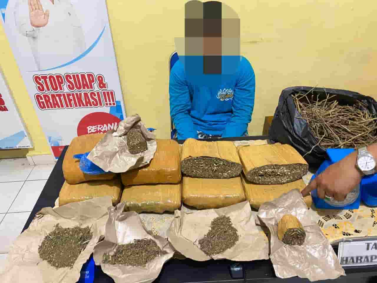 Pelajar SMA di OKU Simpan 7 Kilogram Ganja Akhirnya Ditangkap BNN OKU Timur.