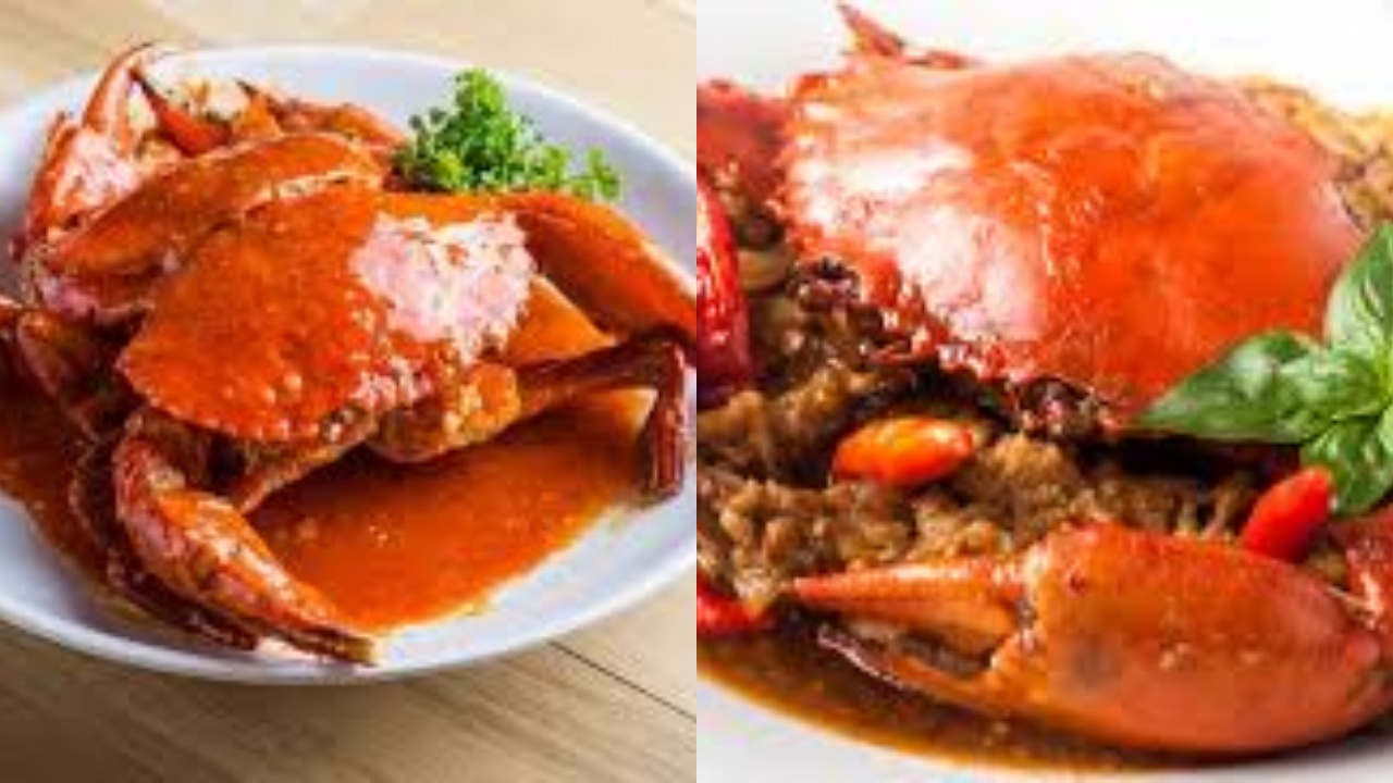 Yuk Ketahui! Manfaat Kepiting Untuk Kesehatan Yang Luar Biasa