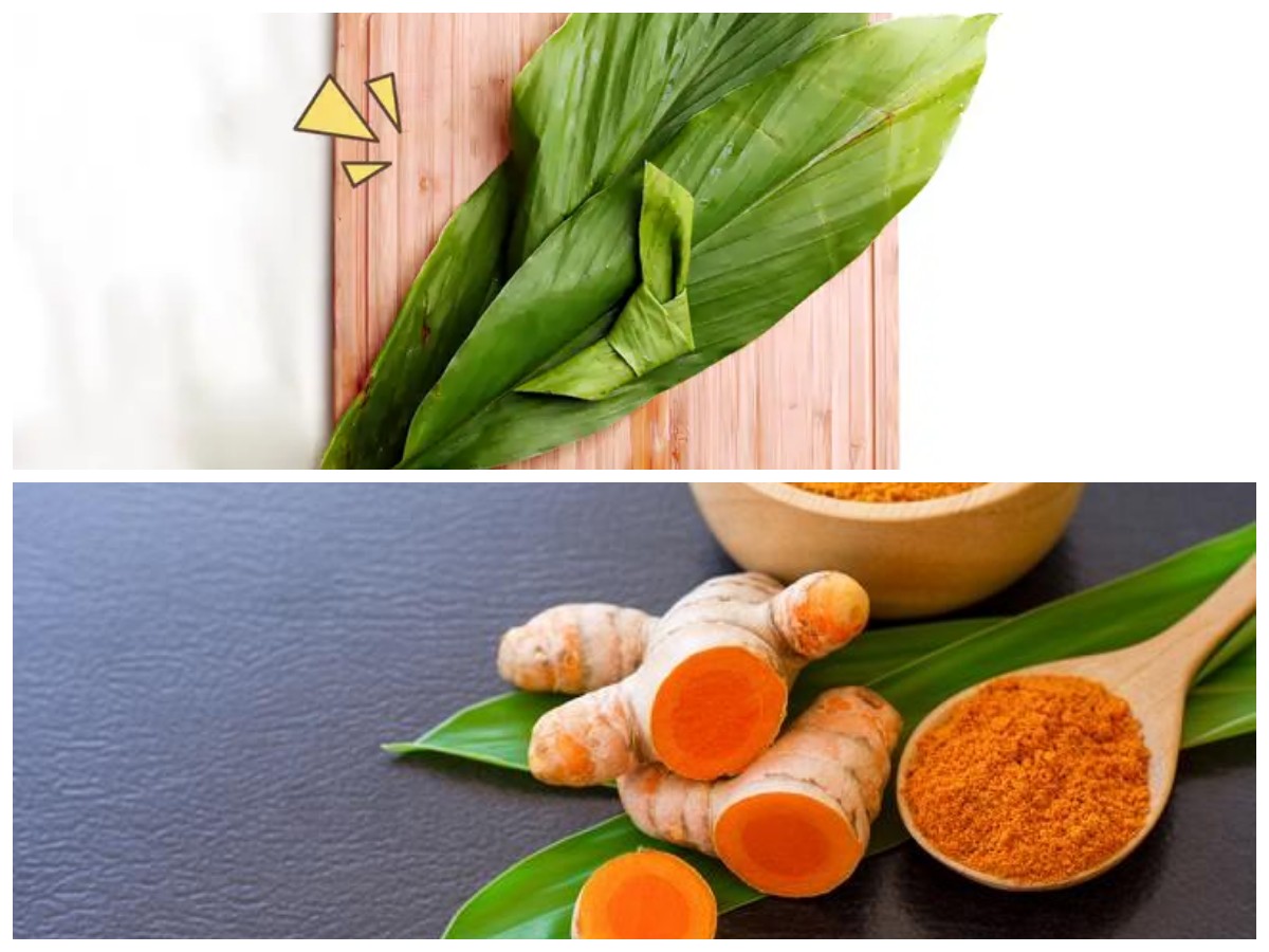 Lebih dari Sekadar Bumbu! Ini Manfaat Daun Kunyit yang Perlu Anda Coba