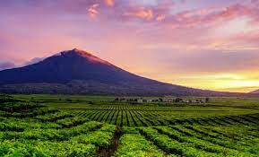 Menguak Misteri Penghuni Gaib Gunung Kerinci, Uhang Pandak dan Misteri Kaki Terbalik yang Menyimpan Rahasia