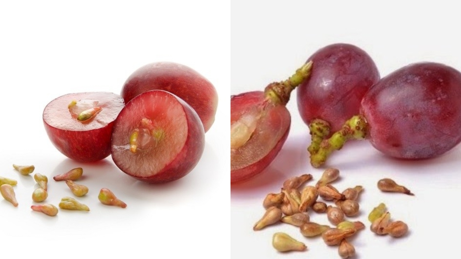 Sederet Manfaat Biji Anggur Untuk Kesehatan Yang Perlu Kalian Tahu! 