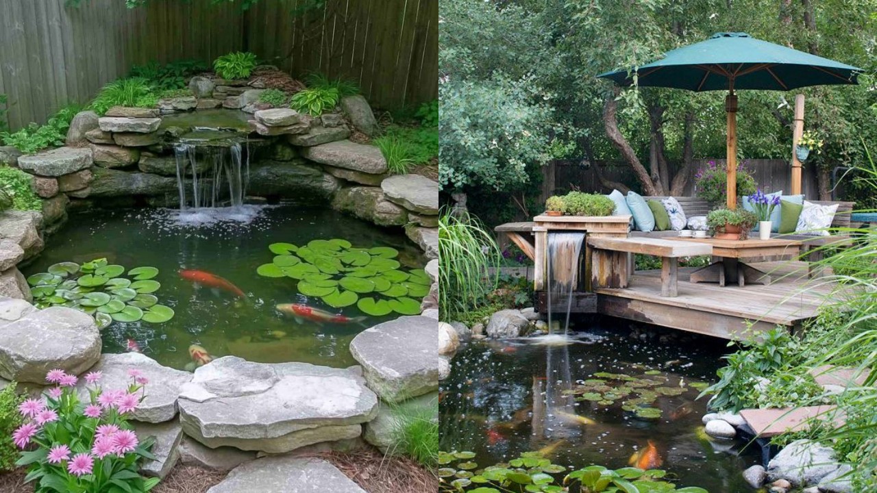 Sulap Sudut Rumah Jadi Asri! Ini 7 Inspirasi Kolam Ikan Minimalis yang Cantik