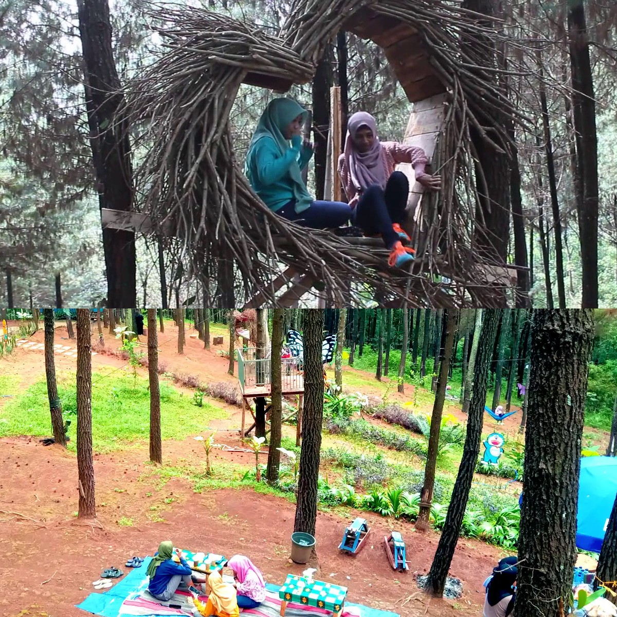 Pesona Menakjubkan Wana Wisata Bukit Pinus Wonosalam yang Cocok Untuk Libur Imlek!