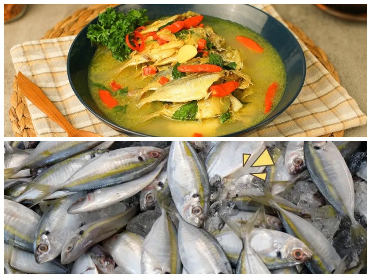 Ikan Selar, Si Kecil Kaya Nutrisi: Manfaatnya untuk Kesehatan yang Luar Biasa