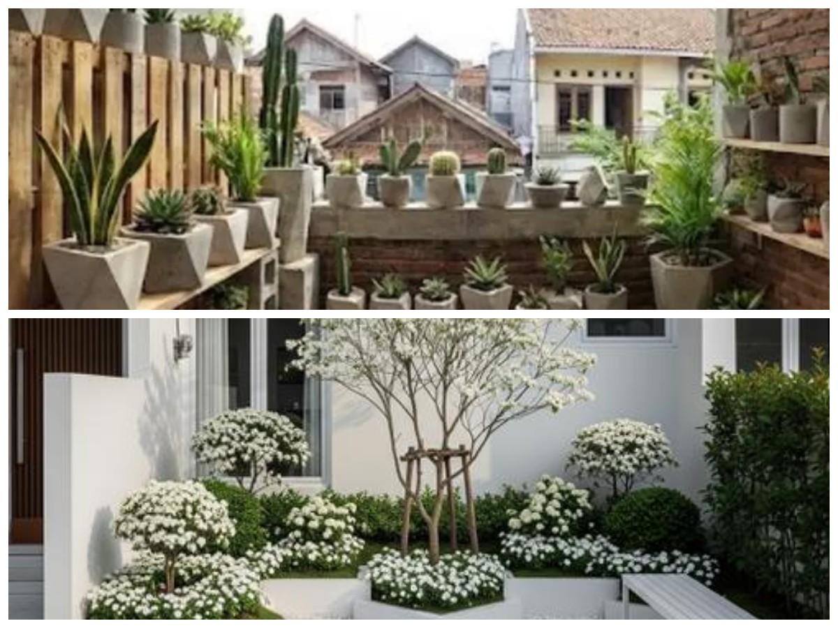 Tampil Tenang dan Modern, Ini 9 Desain Kebun Mini Gaya Korea untuk Hunian Minimalis