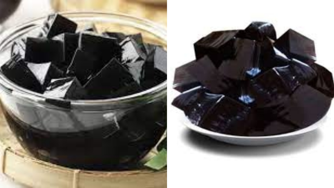 Catat Inilah 10 Manfaat Cincau Untuk Kesehatan Yang Perlu Diketahui