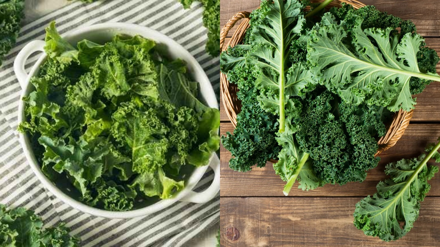 Menyeimbangkan Gula Darah Inilah Manfaat Daun Kale Yang Harus Kalian Ketahui! 