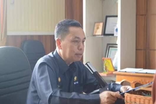 Auditor, Peran Penting Wujudkan Pemerintah yang Good Governance