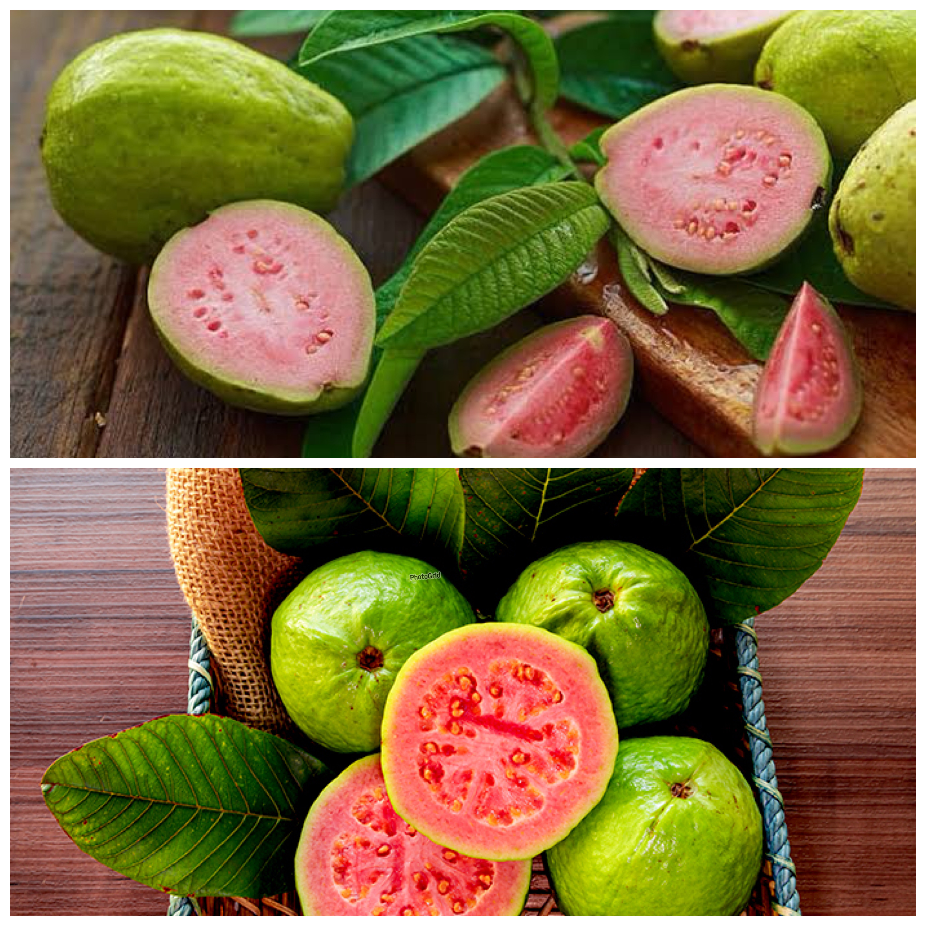 7 Manfaat Jambu Biji untuk Kesehatan yang Sayang Dilewatkan